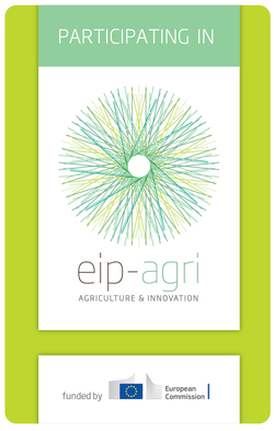 Logo zu EIP